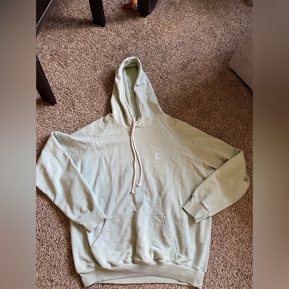 Big Bud Press sage green hoodie